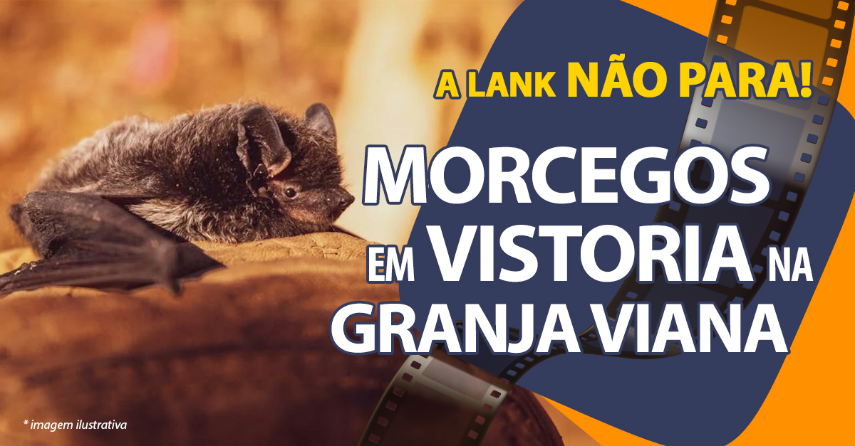 MORCEGOS EM VISTORIA NA GRANJA VIANA