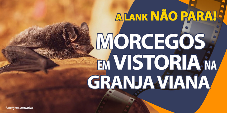 MORCEGOS EM VISTORIA NA GRANJA VIANA