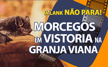 MORCEGOS EM VISTORIA NA GRANJA VIANA